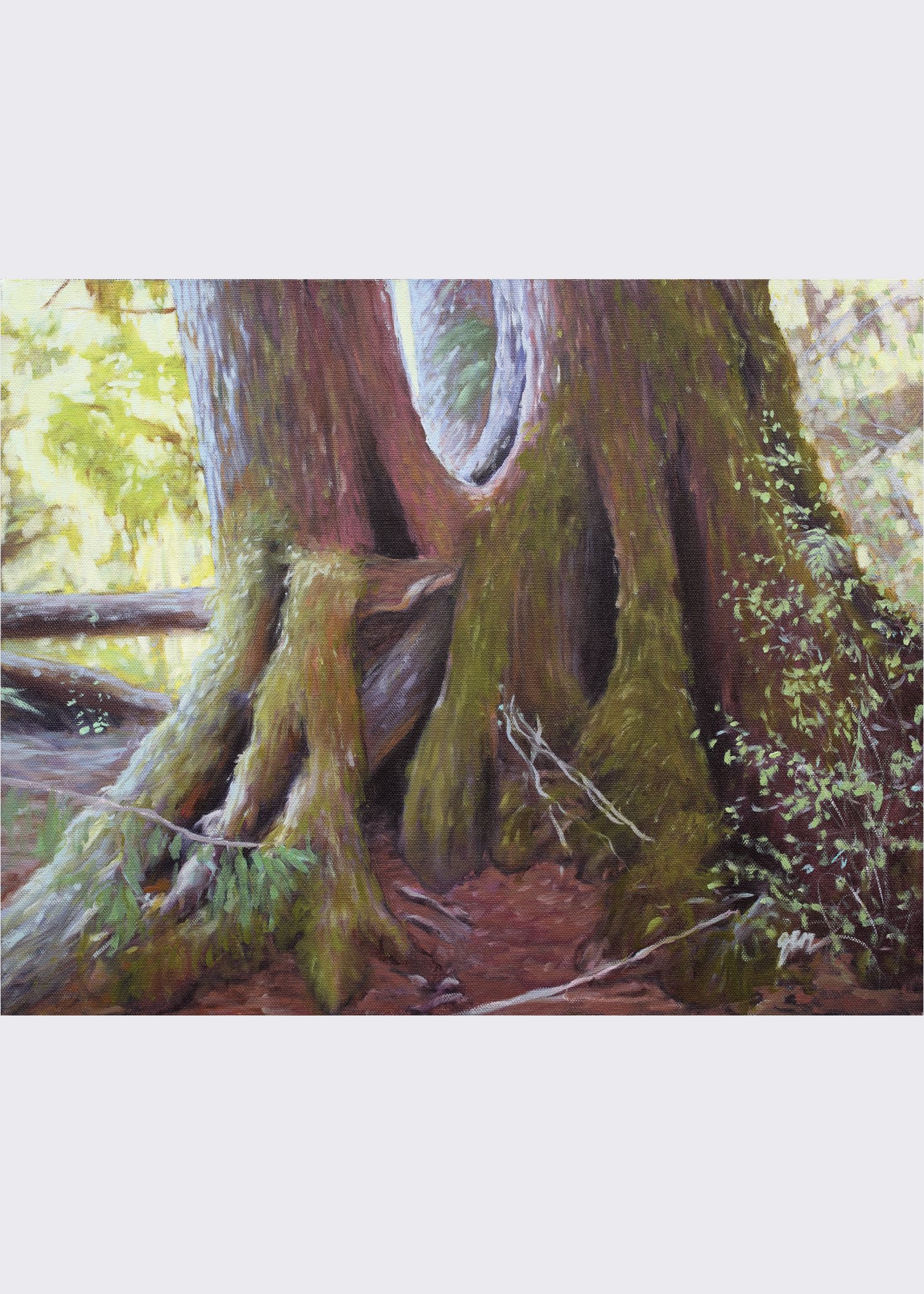 The Arch Tree Fine Art Print from Genevieve Scholl — Genevieve
